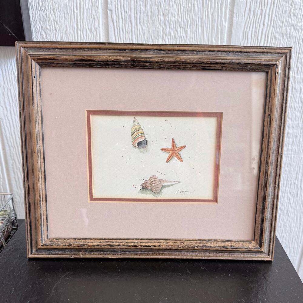 D. Morgan Signed Seashell Watercolor Print Framed & Matted Coastal Cottage Decor